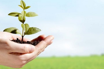 QUY TR&Igrave;NH MỚI NHẤT ĐỐI VỚI DOANH NGHIỆP MỚI TH&Agrave;NH LẬP